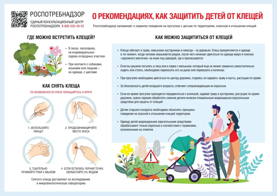«Памятки по природно – очаговым инфекциям»